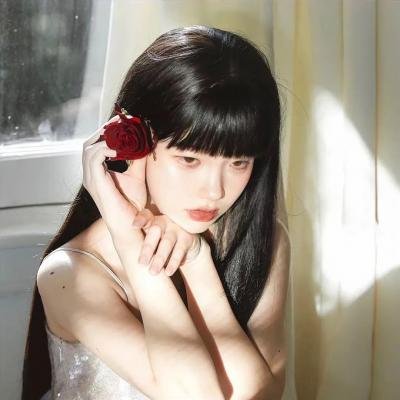 海龟故事