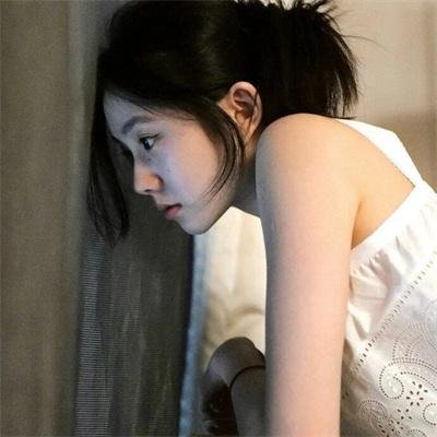 港湾第五季